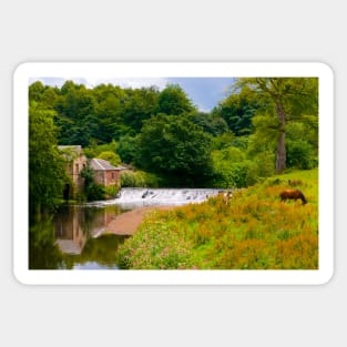 Horses in Pollok Park, Glasgow, Scotland Sticker